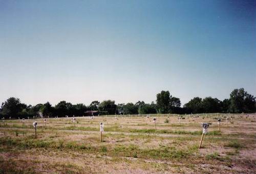 Plainfield Drive-In Theatre - Lot From Screen 1987 From Greg T (newer photo)